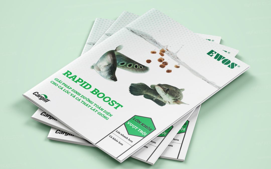 Cargil – Rapid Boost