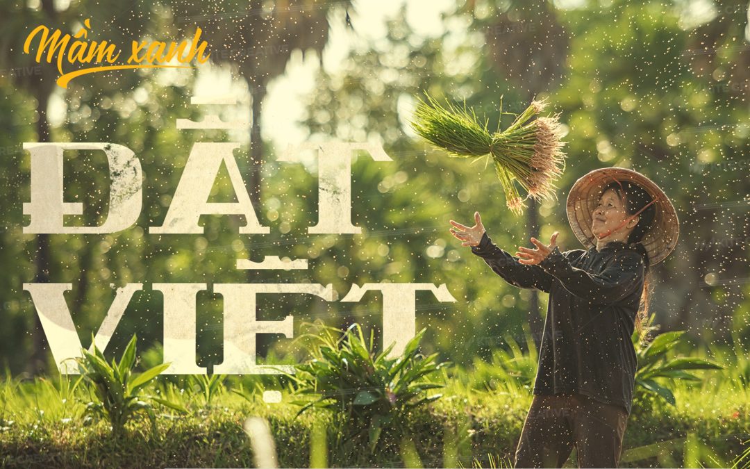 Phúc An – Mầm xanh đất Việt