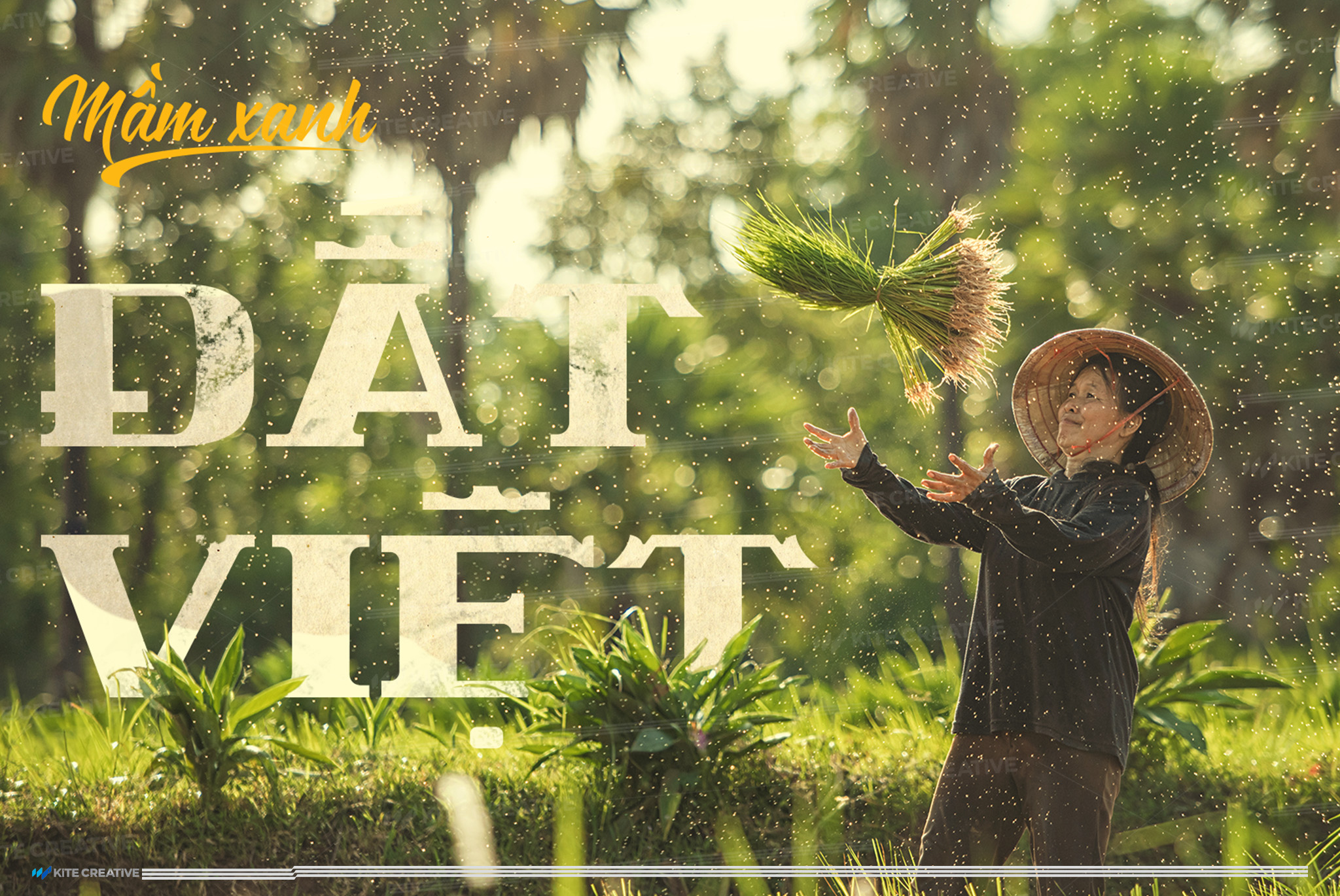 Phúc An – Mầm xanh đất Việt