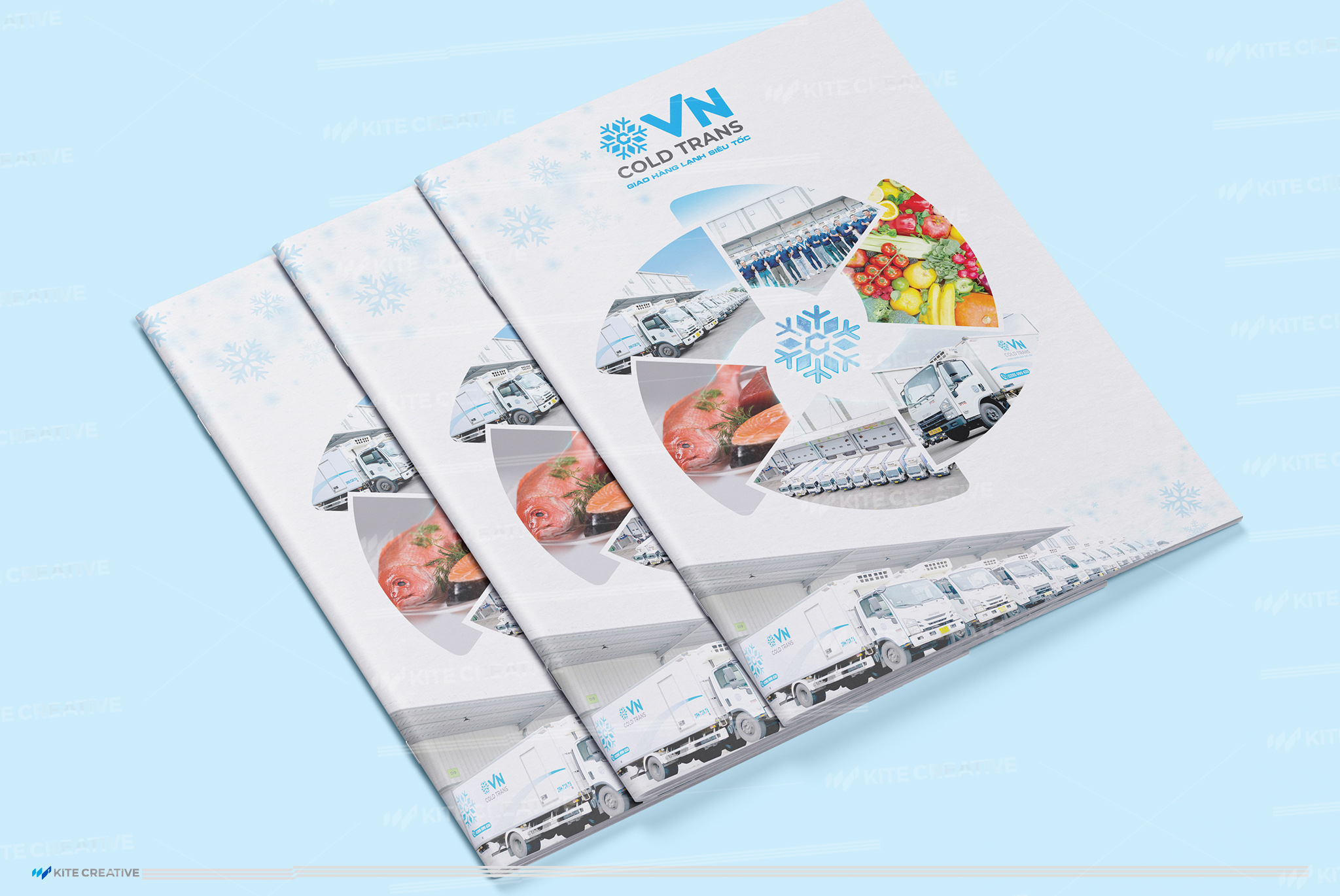 VN Cold Trans – Hồ sơ doanh nghiệp