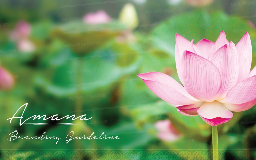 Amana – Nhận diện thương hiệu