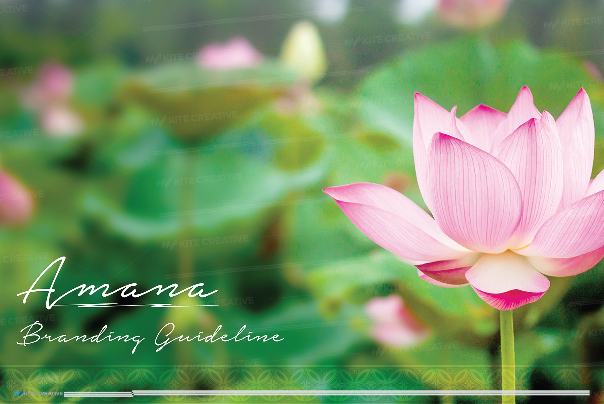 Amana – Nhận diện thương hiệu
