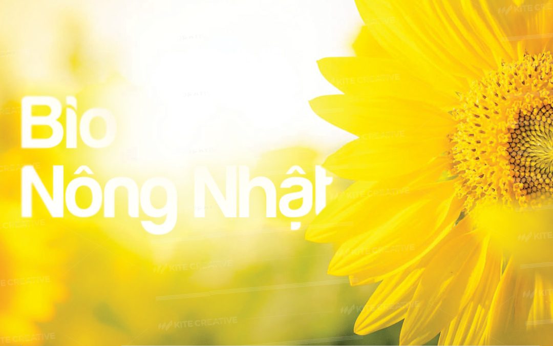 Bio Nông Nhật – Nhận diện thương hiệu