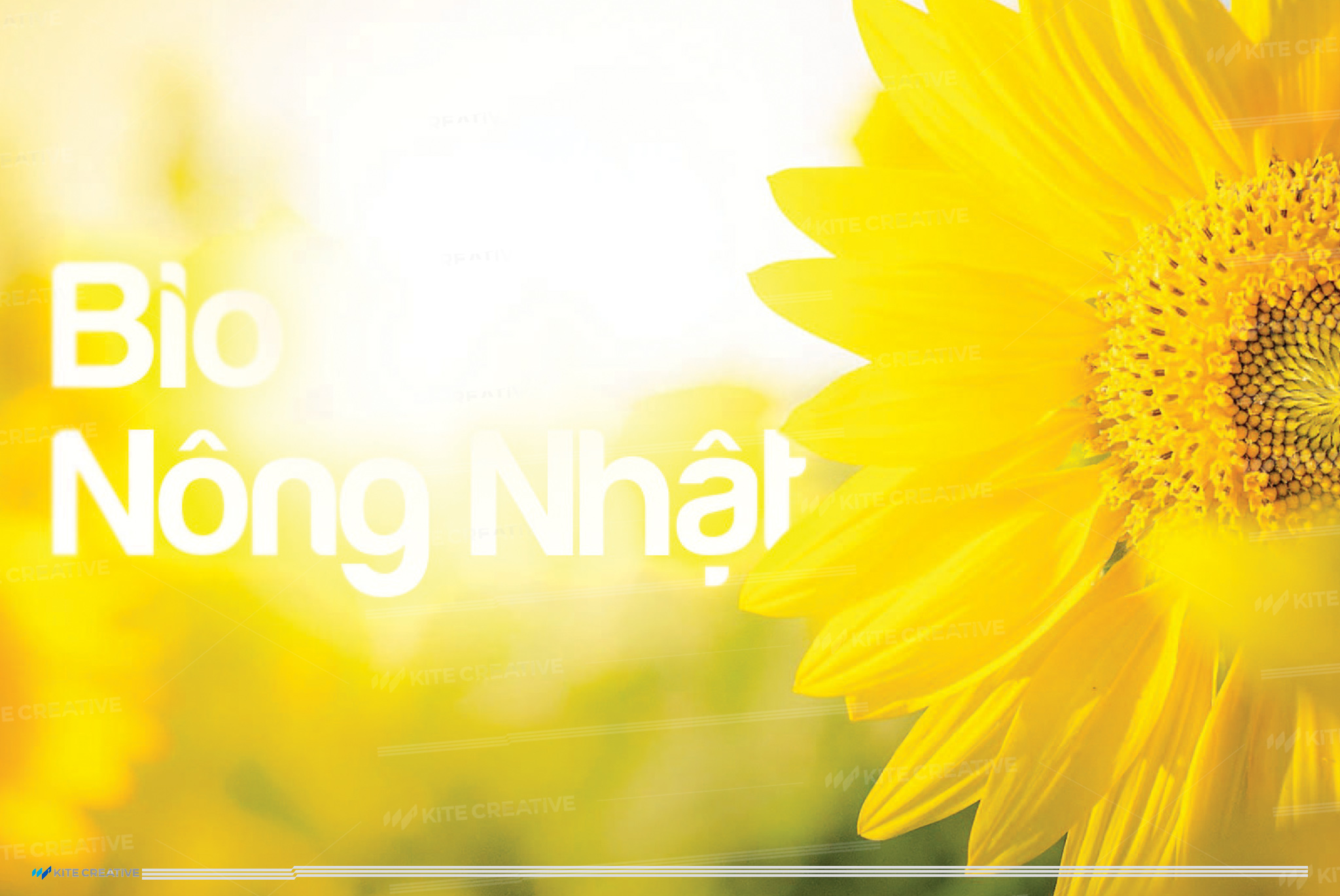 Bio Nông Nhật – Nhận diện thương hiệu