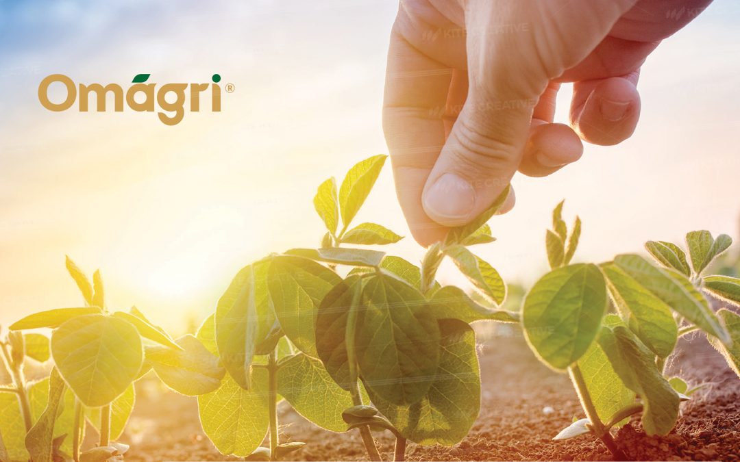 Omagri – Nhận diện thương hiệu