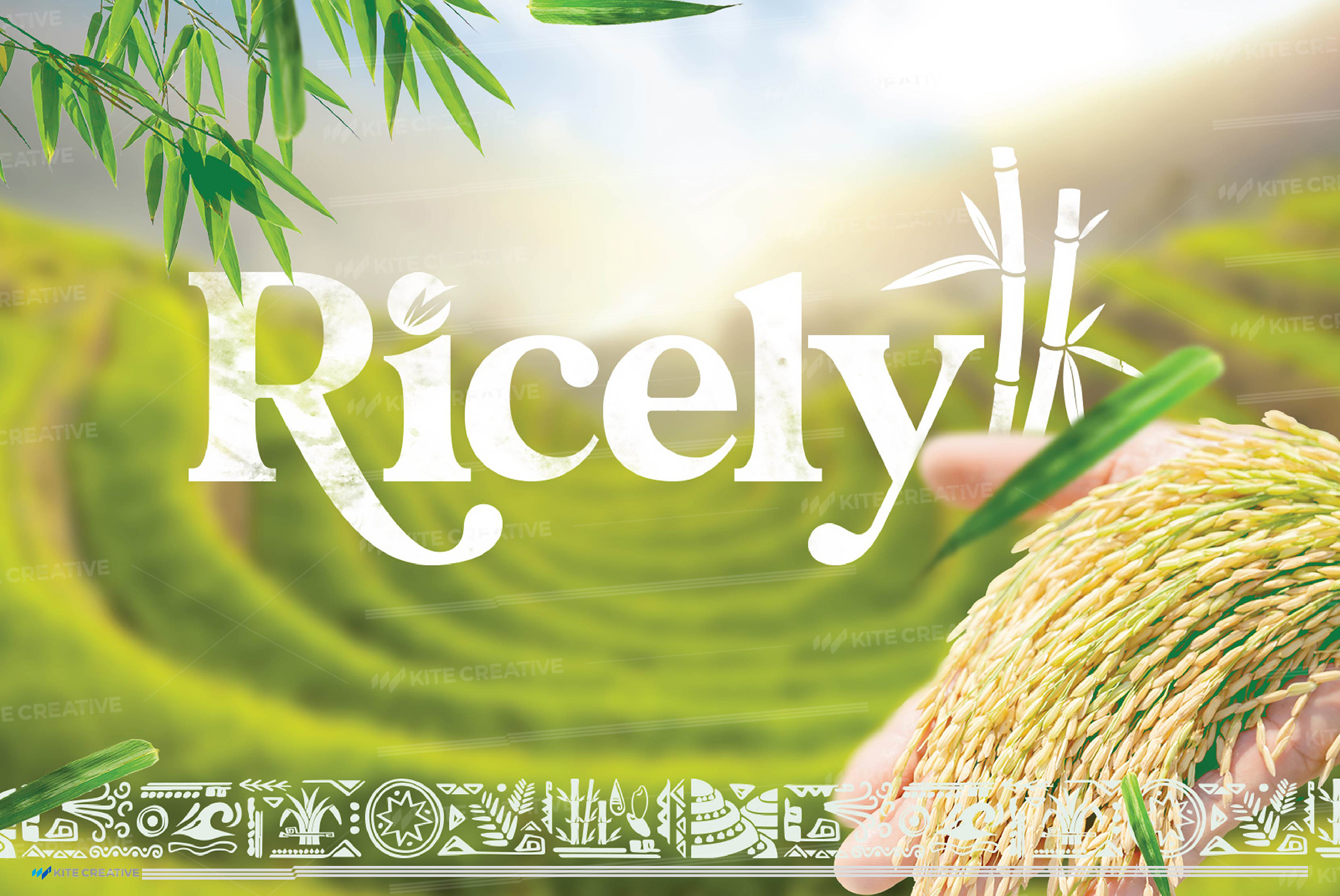 Ricely – Nhận diện thương hiệu